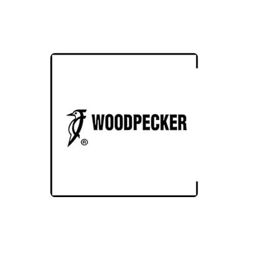 محصولات اورجینال Woodpecker - خرید و قیمت دستگاههای دندانپزشکی