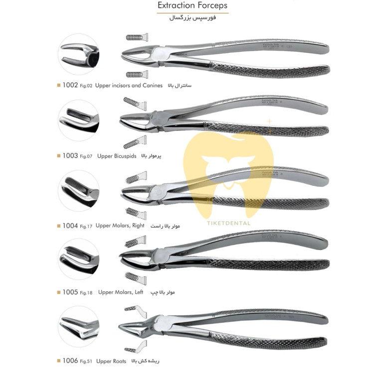 فورسپس مولر بالا چپ فتاح طب در حال استفاده