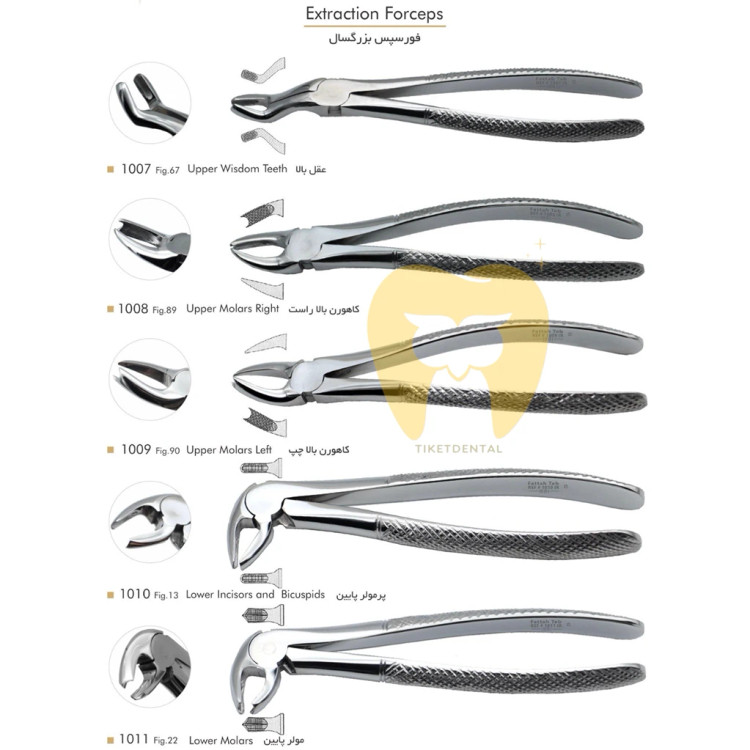 خرید فورسپس مولر بالا راست فتاح طب استیل ضد زنگ