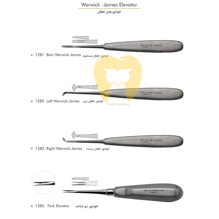 الواتور مستقیم استیل فرانسوی فتاح طب در حال لوکسهکردن دندان