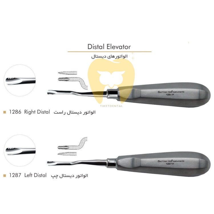 خرید و قیمت الواتور استیل فرانسوی - الواتور دو شاخه