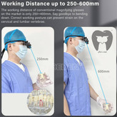 متخصص-اندو-با-لوپ-5X-در-حال-انجام-درمان-کانال-ریشه