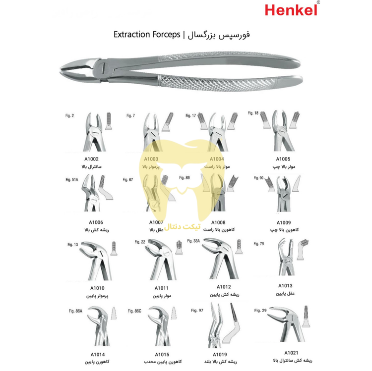 فورسپس بزرگسال هنکل، ابزاری اقتصادی با بهترین قیمت ابزار دندانپزشکی جراحی.