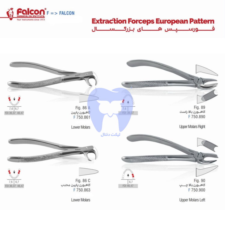 دو عدد فورسپس بزرگسال فالکن (مدل قدامی و مولر) در کنار هم.