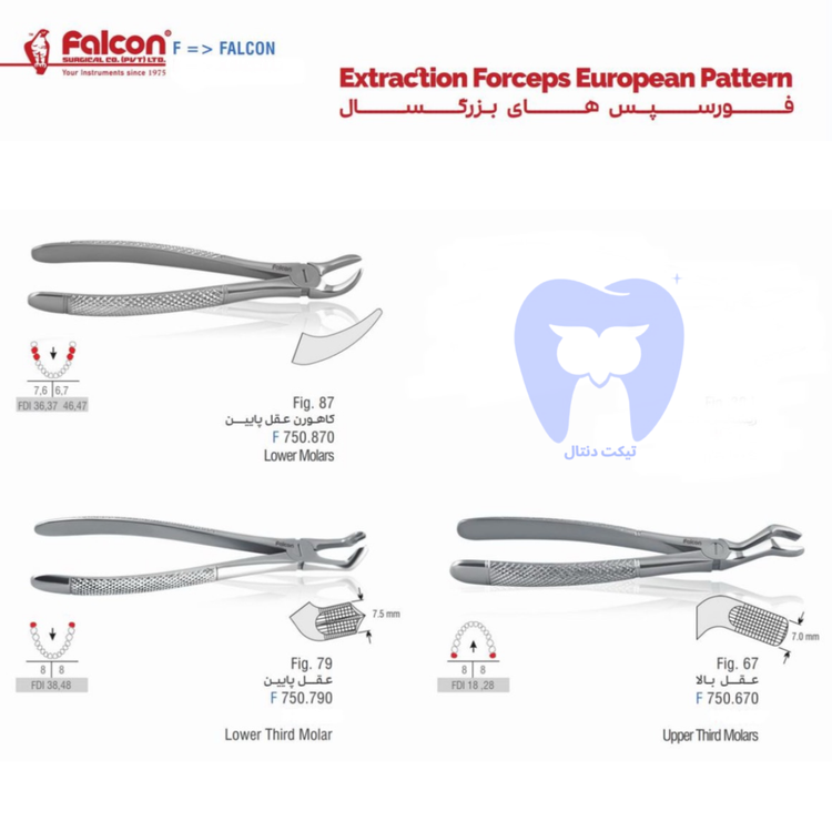 نمای بسته از سر آناتومیک فورسپس فالکن که آماده درگیری با خط سمان است.