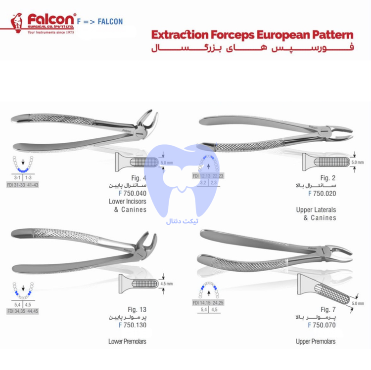 یک فورسپس آناتومیک بزرگسال فالکن (مثلاً مولر بالا) با دسته آجدار.