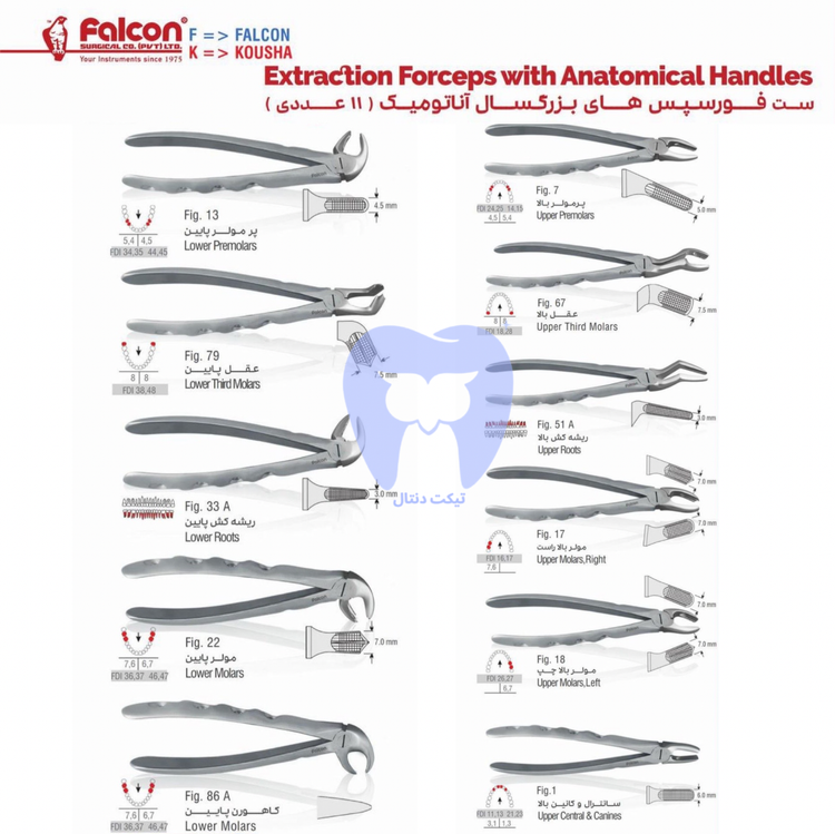 خرید و قیمت ست فورسپس دندانپزشکی فالکن FALCON