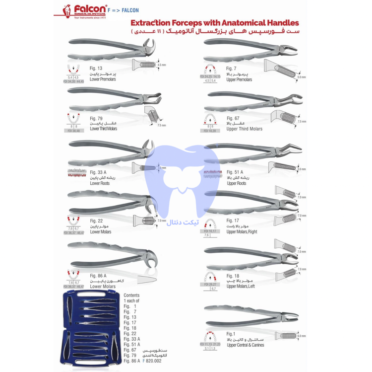 ست فورسپس آناتومیک فالکون