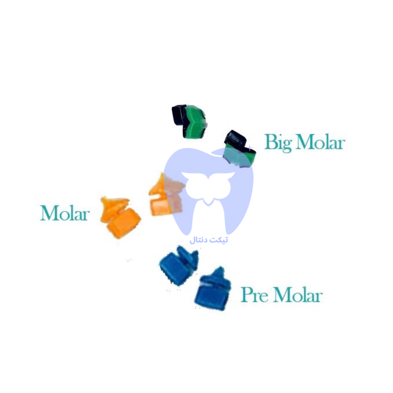 تیپ-رینگ-سکشنال-Zt-Dental-با-طراحی-آناتومیک-3D-برای-کاور-کردن-لثه