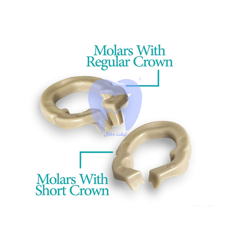 رینگ-سکشنال-رزینی-Zt-Dental-نوک-فایبرگلاس-برای-عدم-تداخل-با-لایت-کیور