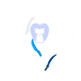 وج-پلی-کربنات-Zt-Dental-با-شکل-تیغهای-برای-جداسازی-دقیق-و-رسیدن-به-عمق