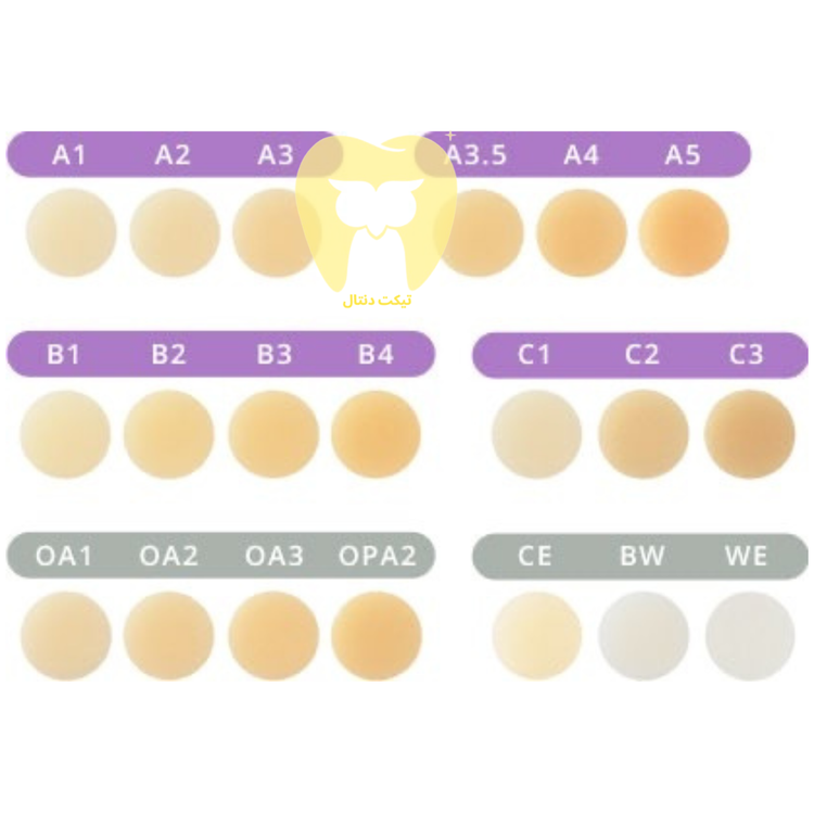 دندانپزشک در حال لایهبندی کامپوزیت قدامی توکویاما با استفاده از دو شید مجزا (Body و Enamel) برای تقلید ساختار طبیعی دندان.