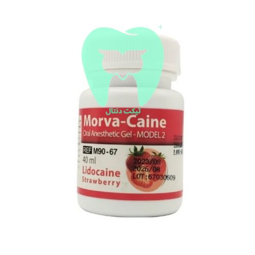 سرنگ یا ظرف ژل بیحسی Morva-Caine در طعمهای مختلف (توت فرنگی، بلوبری، آدامس).