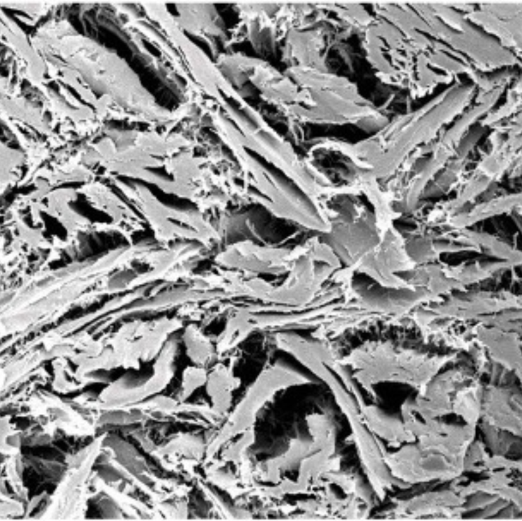 آبرسانی ماتریکس mucoderm در محلول سالین قبل از جراحی